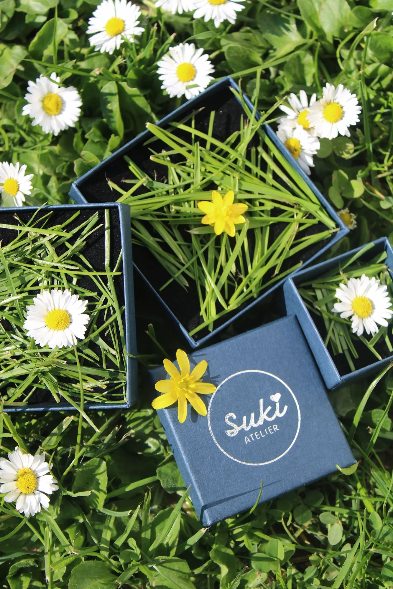 Boite ecologique Atelier Suki